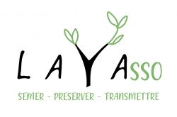 La YASSO comptoir